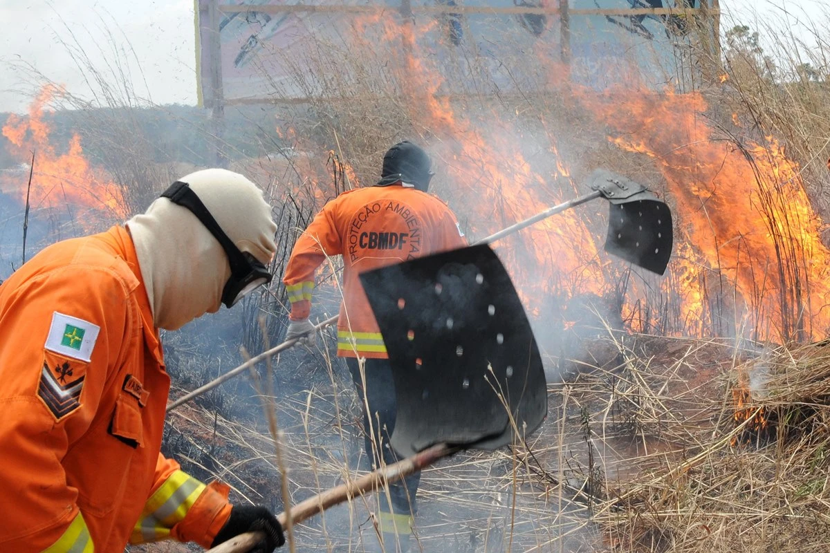 DF: bombeiros iniciam Operação Verde Vivo contra incêndios florestais