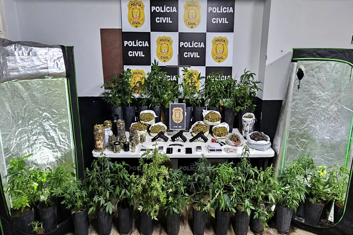 Hervachips: personal da maconha é preso com skunk “artesanal”