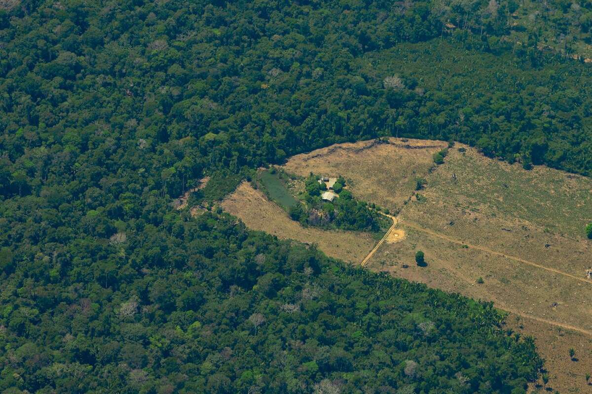 Amazônia tem 20 mil fazendas em áreas indígenas e de conservação