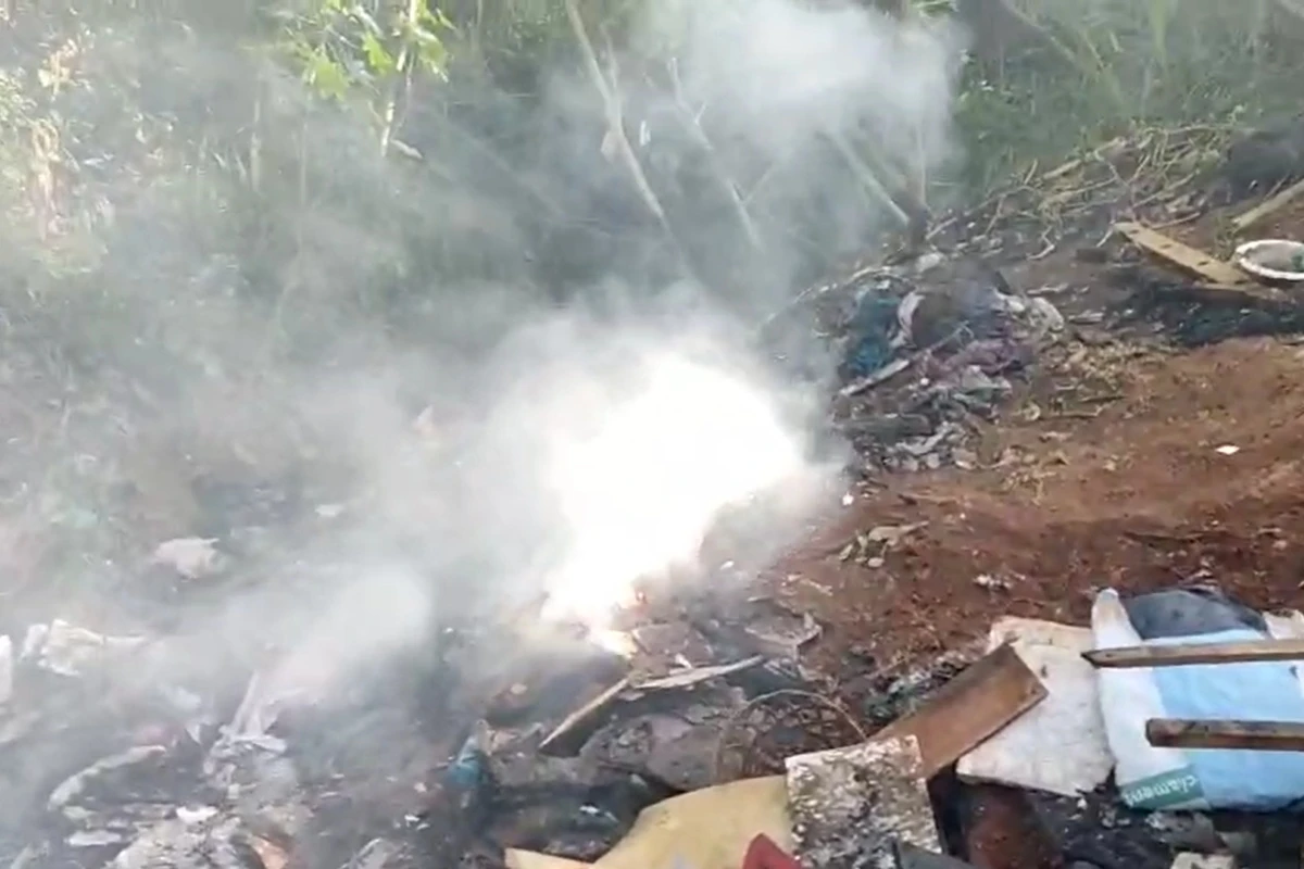 Vídeo: funcionários acham 2 corpos recém carbonizados em parque de SP