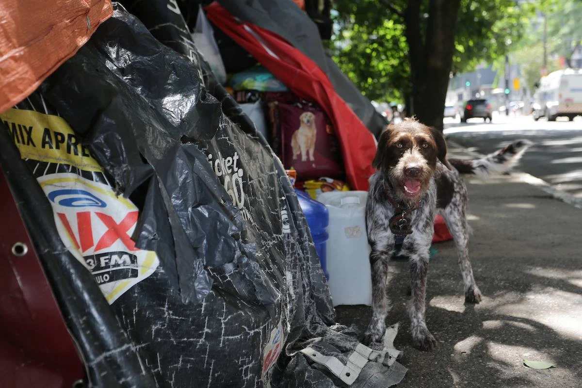 SP: dado de pessoas em situação de rua cresce e se aproxima de 100 mil
