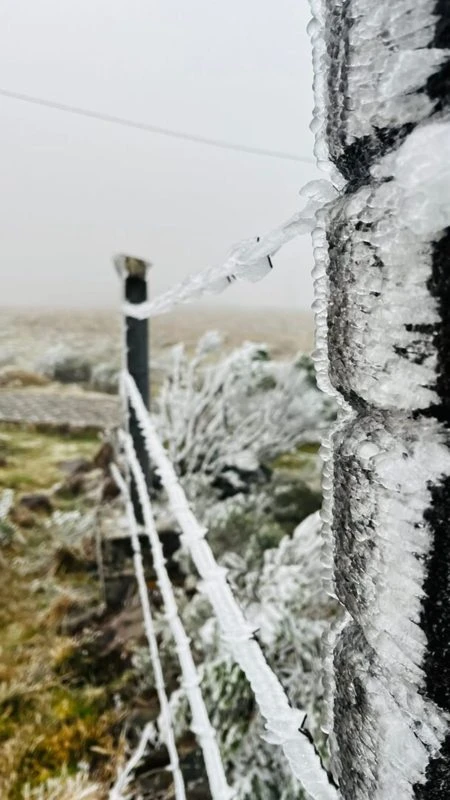 Cidade de SC bate recorde do ano e registra sensação térmica de -29°C