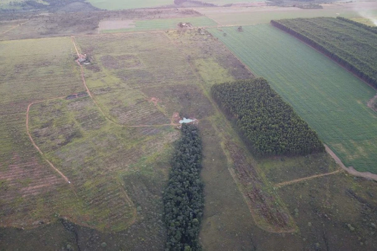 MPGO fecha acordos para 2.630 hectares de área preservada no Entorno