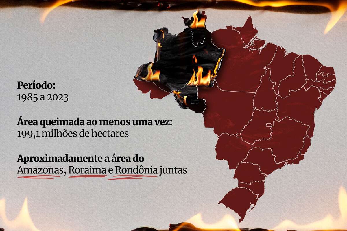 Desmatamento: 68% das queimadas no Brasil ocorrem na vegetação nativa