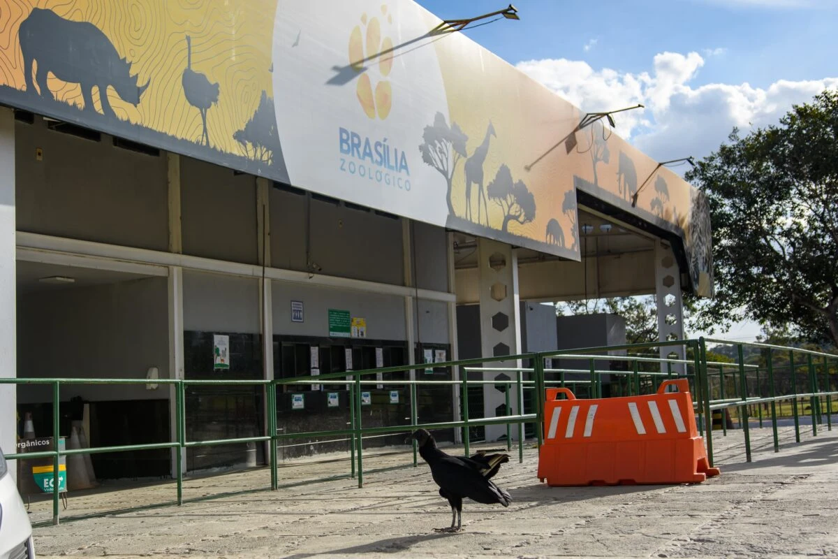 Após suspeita de gripe aviária, Seagri faz inspeção ao redor do Zoo