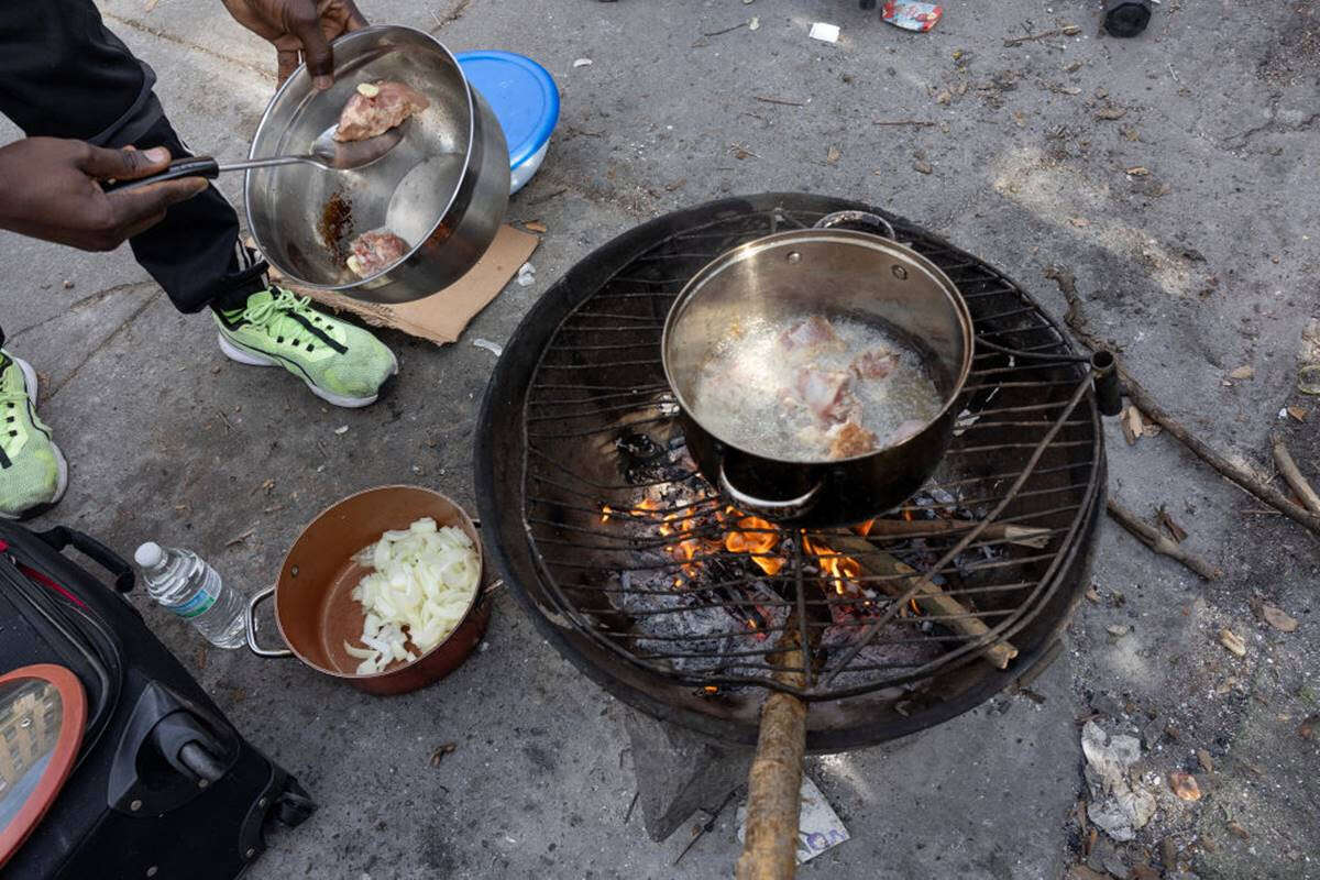 Fome mantém patamar alto e atinge 733 milhões de pessoas no mundo