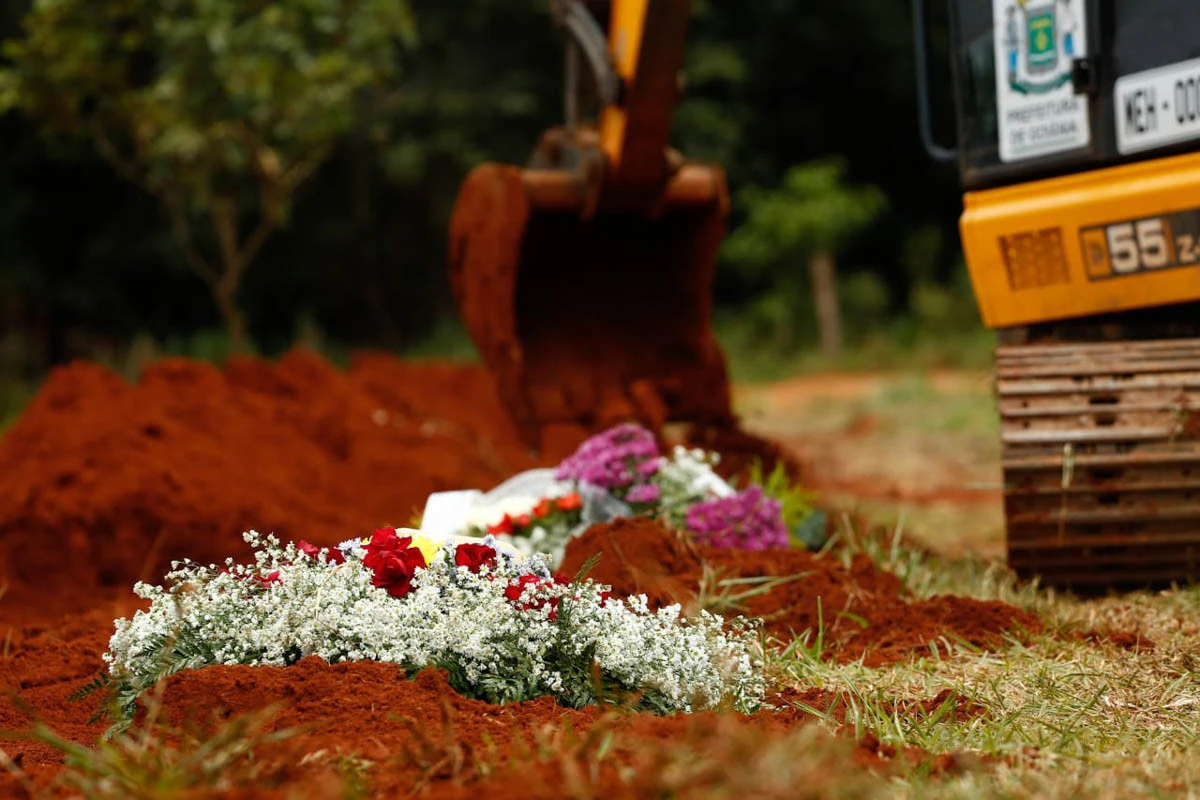 CLDF abre licitação de R$ 326 mil para flores e coroas fúnebres