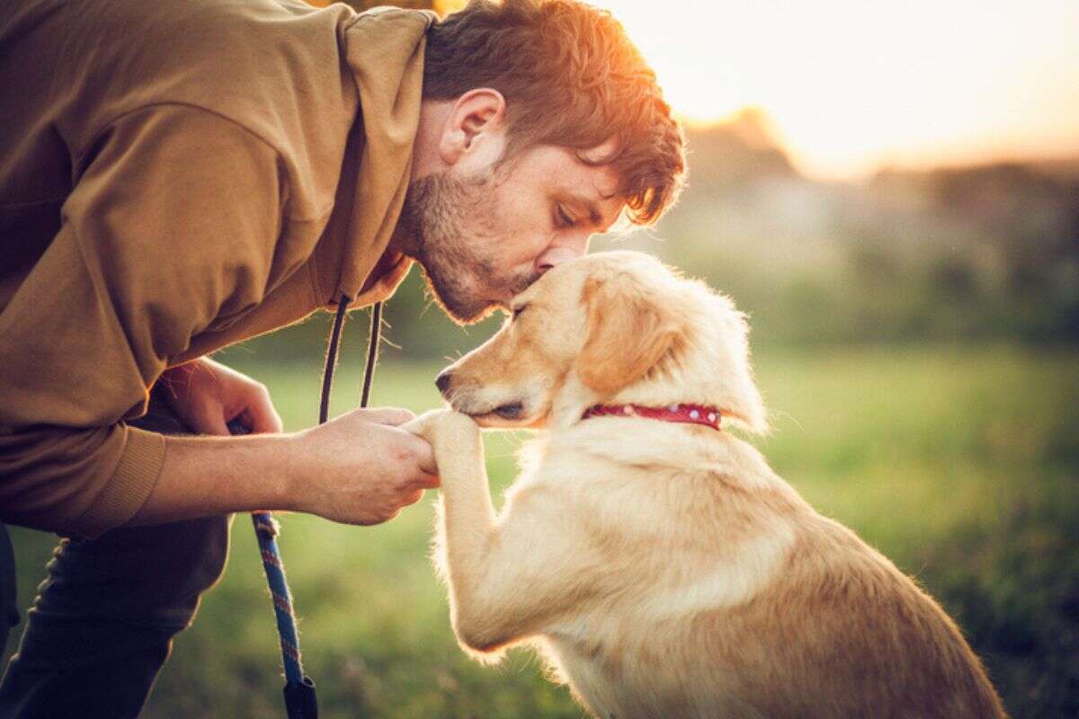 Especialistas revelam como lidar com o luto pela perda de um cão