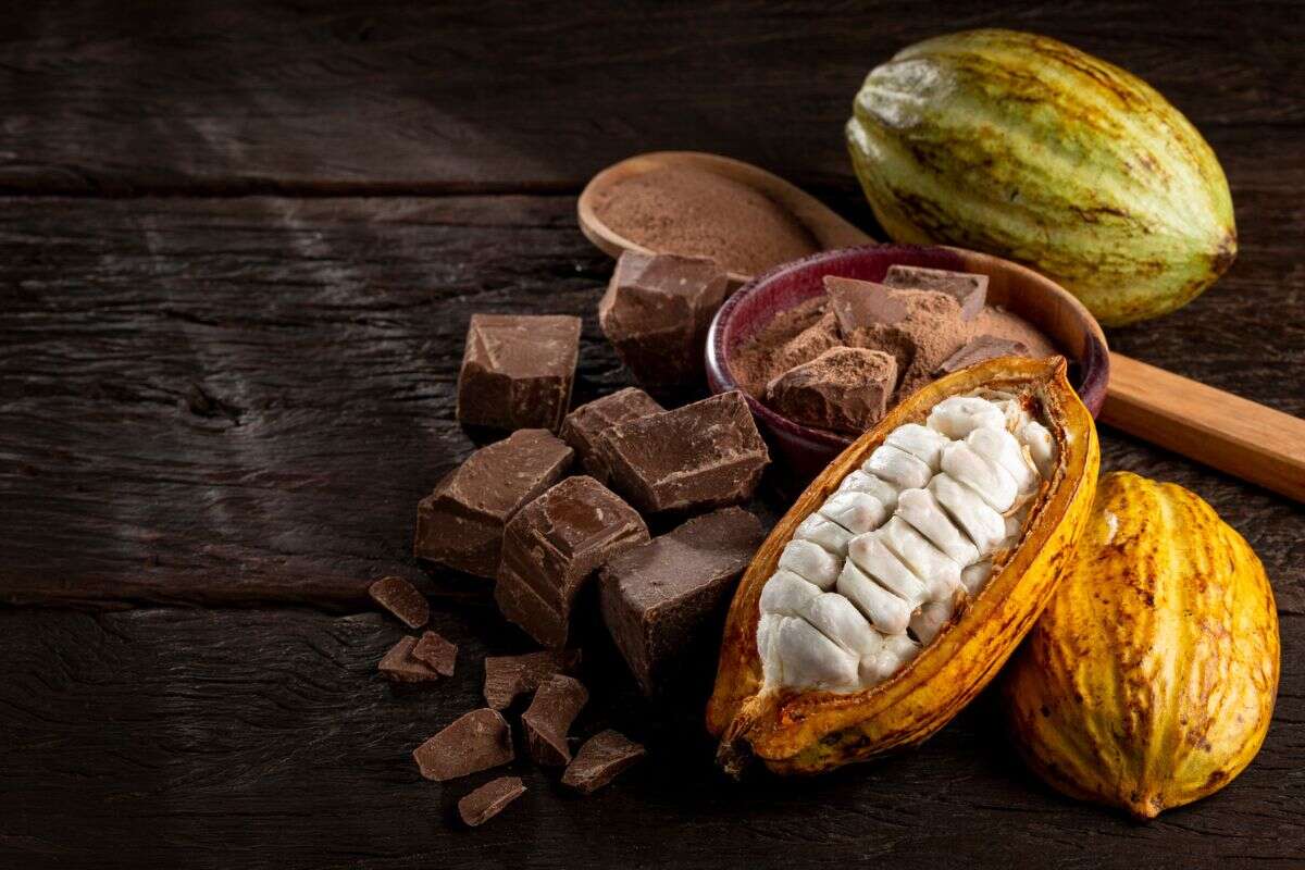 Mudanças climáticas ameaçam produção de chocolate em todo o mundo