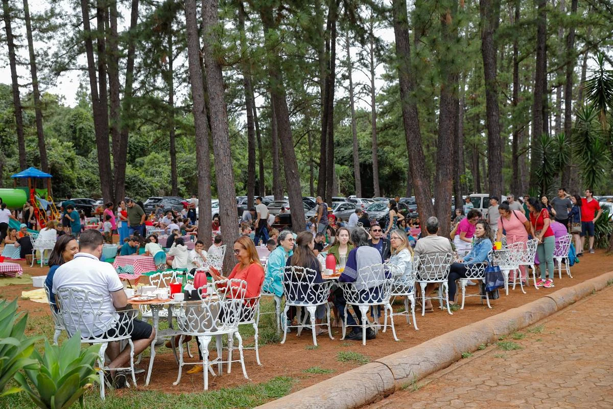 Jardim Botânico de Brasília substituirá pinheiros por árvores nativas