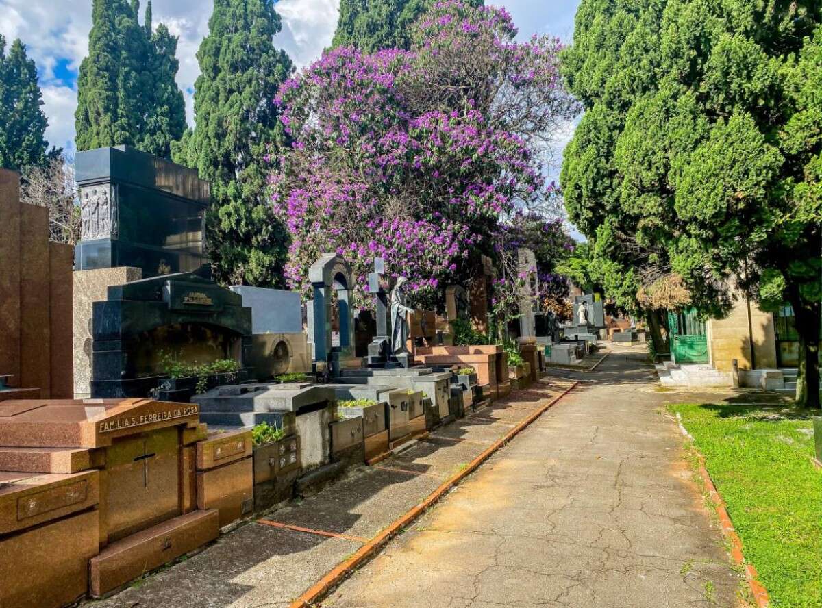 SP: serviços funerários passam por modernização e melhoram atendimento