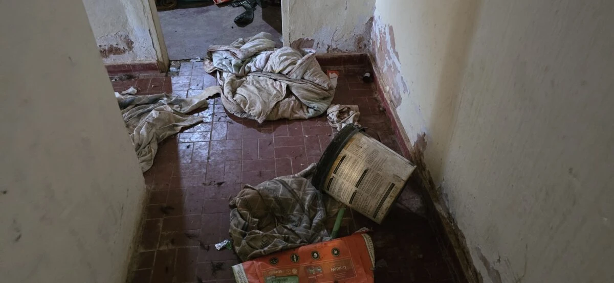 “Abrigo da morte” cobra R$ 600 por mês e deixa cães morrerem de fome
