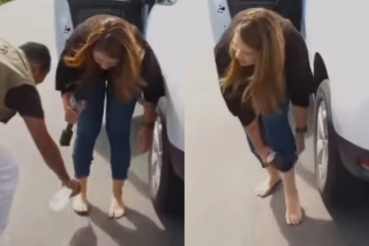 Repórter do SBT é atacada por formigas ao vivo e vídeo viraliza