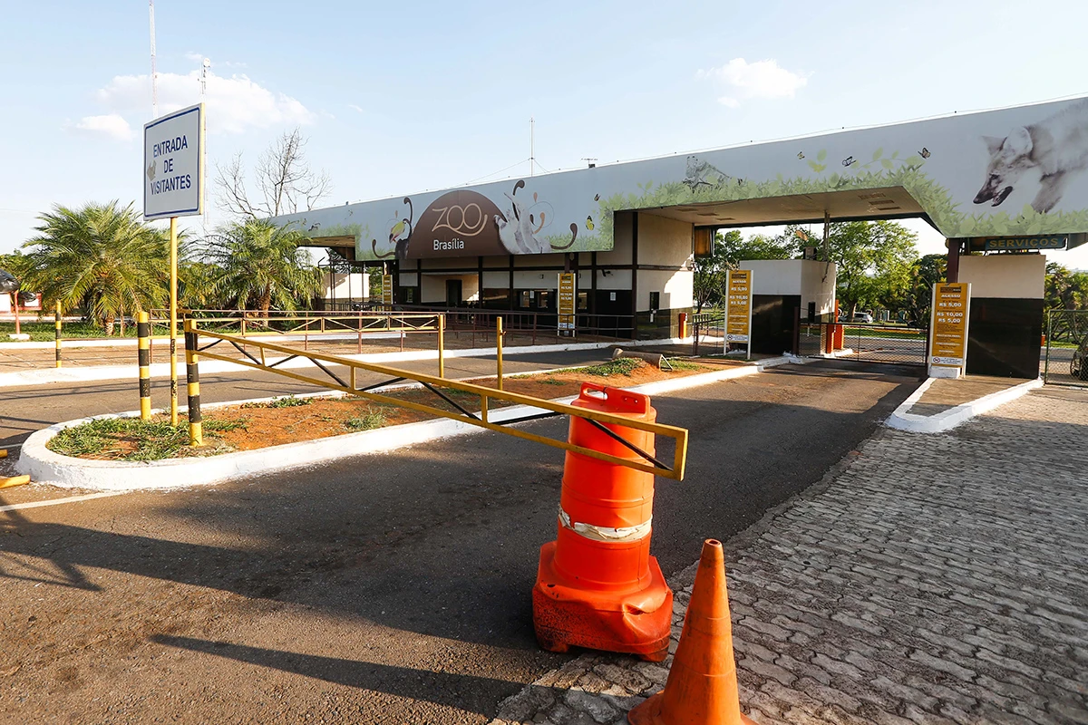 Exame confirma gripe aviária em irerê morto no Zoológico de Brasília