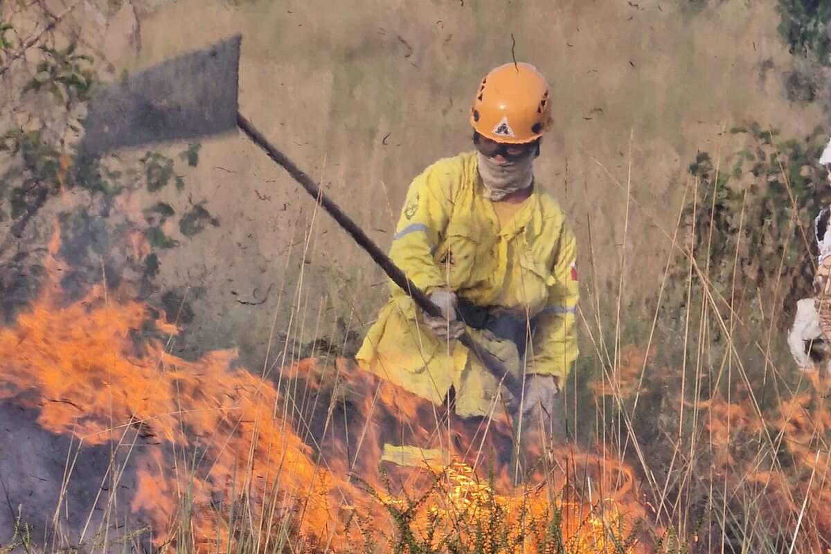 Na luta contra o fogo, brigadistas enfrentam dor e medo. Veja relatos