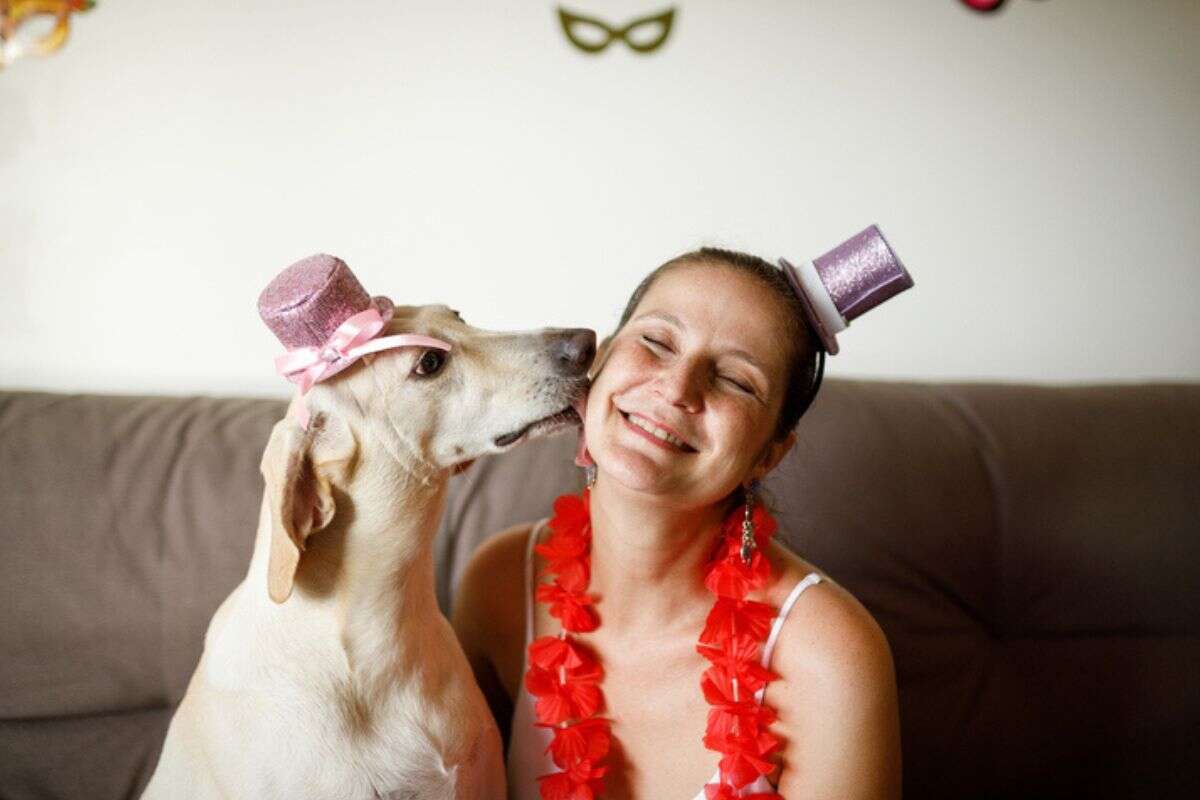 Veterinárias dizem se vale a pena levar os pets em blocos de Carnaval