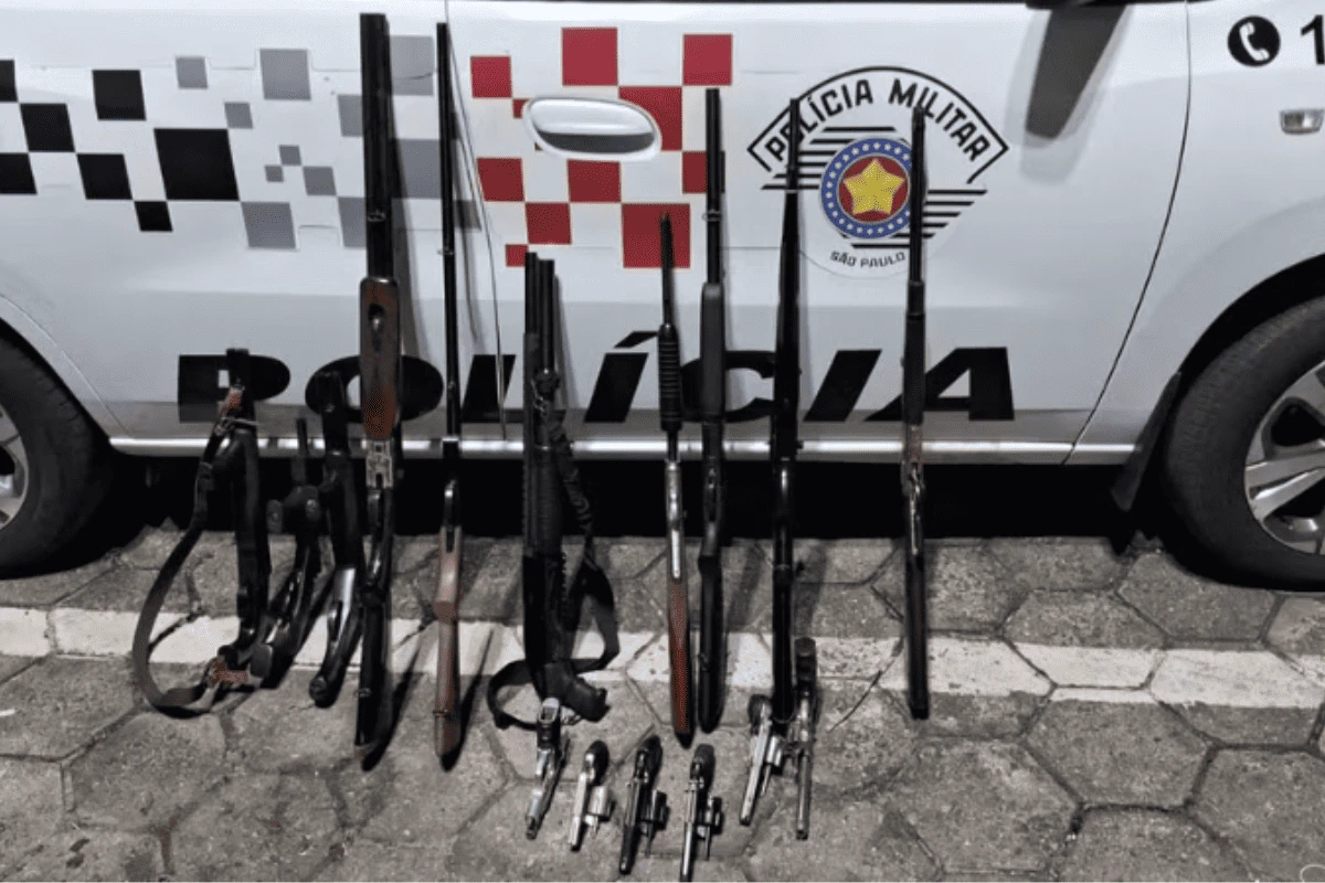 Pai e filho são presos com 16 armas após queixa de violência doméstica
