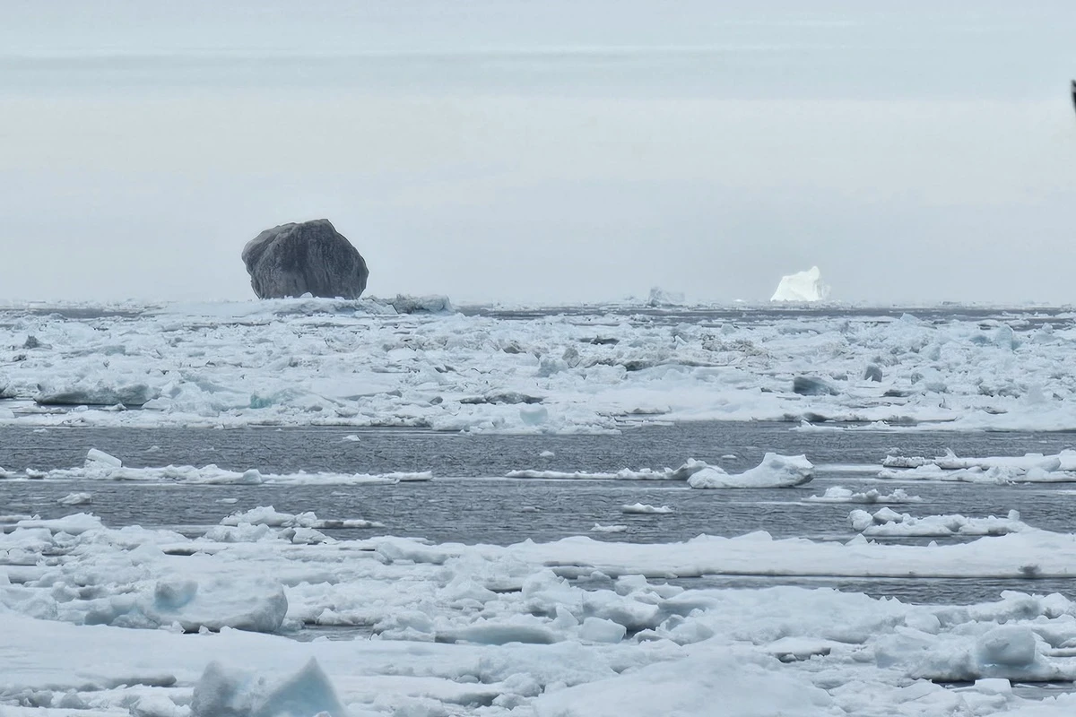 Conto de pescador? Homem registra foto rara de iceberg preto no Canadá