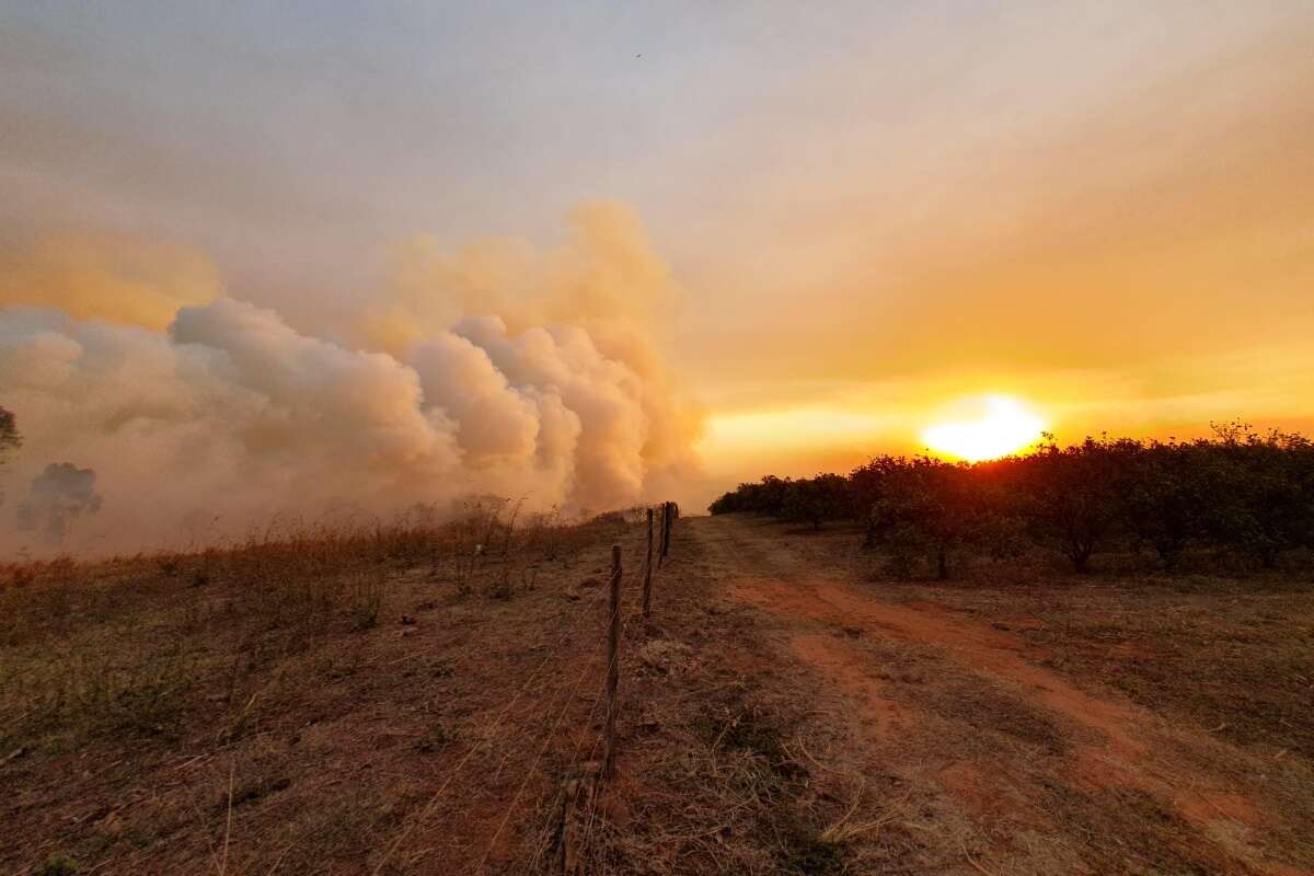 Chega a 21 o número de presos por provocar incêndios em SP