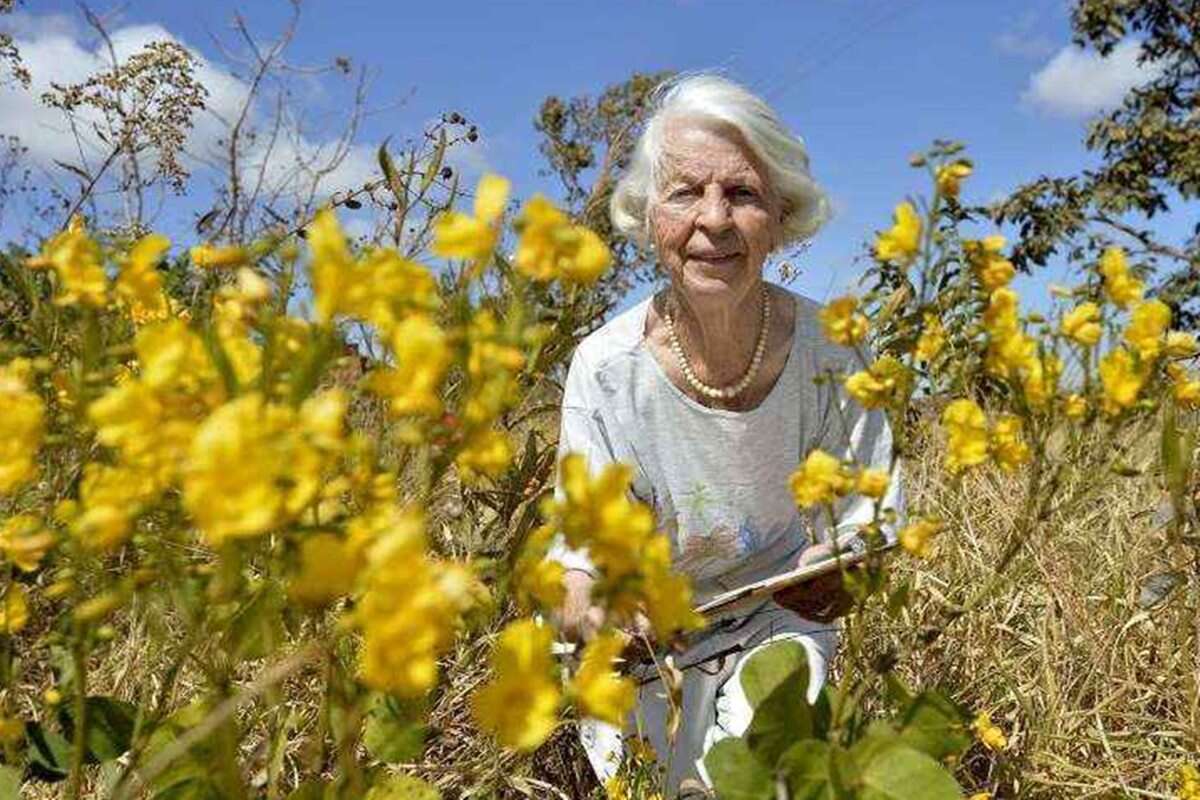 Artista lituana Therese von Behr morre aos 94 anos em Brasília 