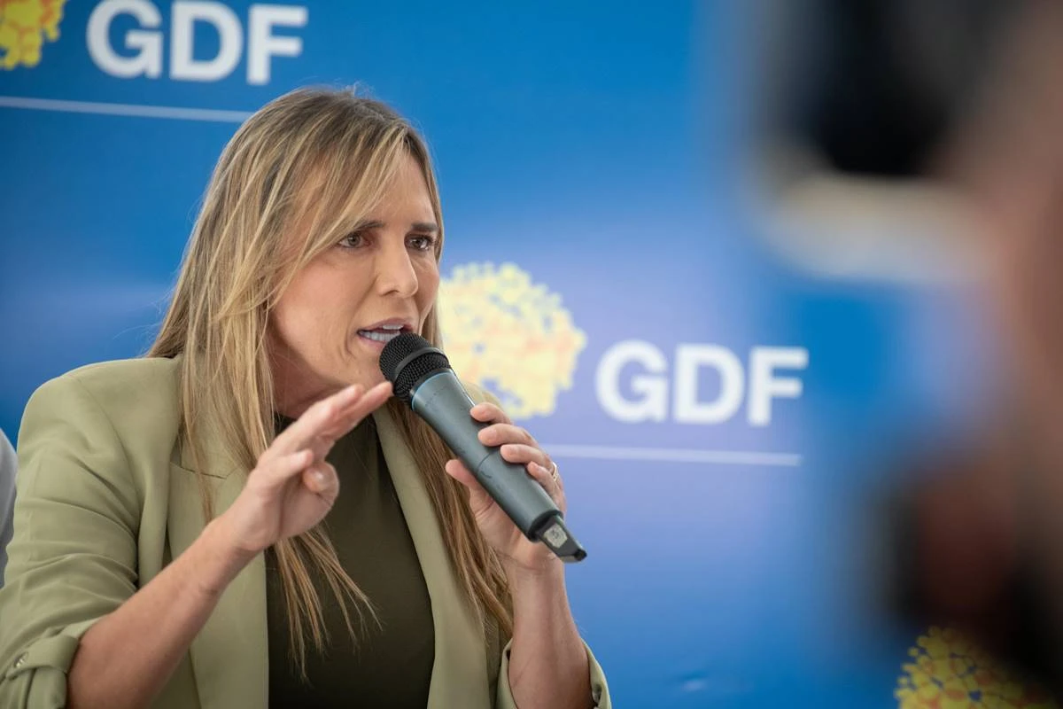 Celina Leão assina acordo de cooperação técnica no TJDFT