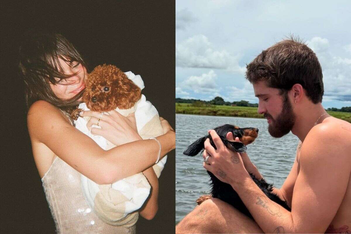 Pets de Bruna e João Guilherme podem ter guarda compartilhada; entenda