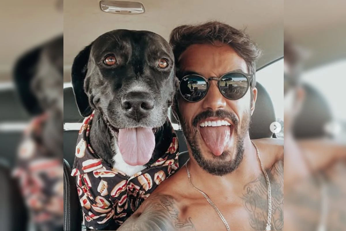 Cães enviados a hotel por ex-De Férias com Ex atacaram pintor no DF