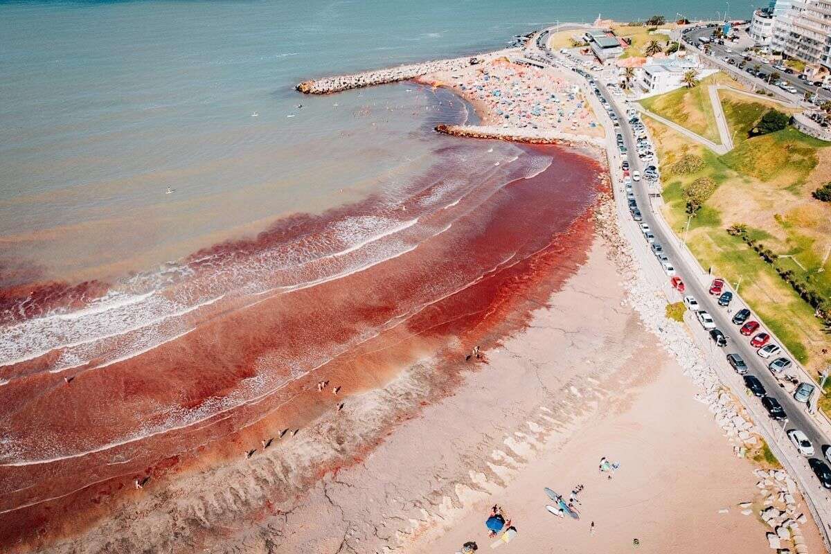 Mar de sangue? Água fica vermelha em praia mais famosa da Argentina