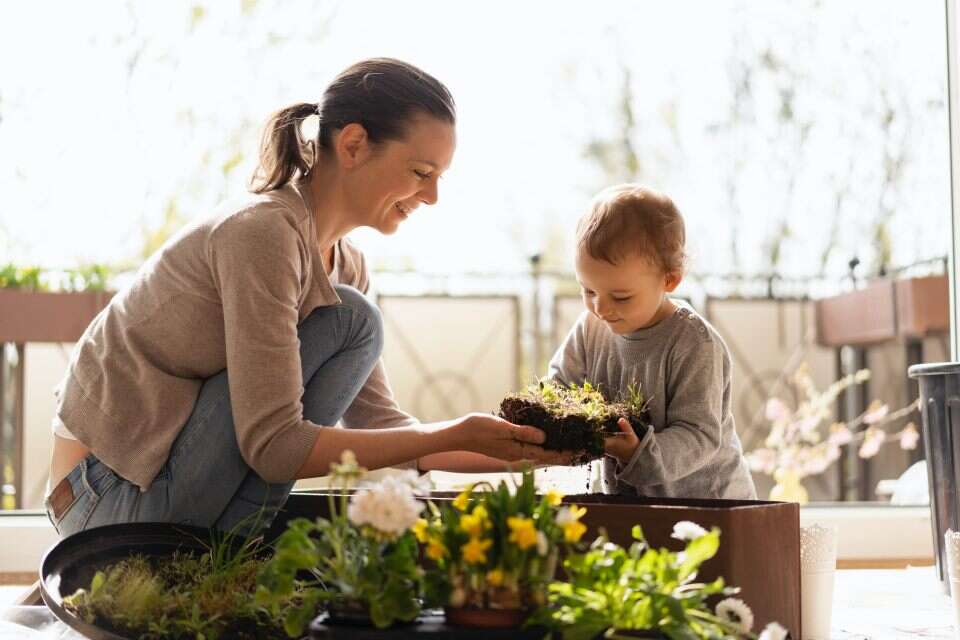 Como montar uma horta em casa? Veja quatro dicas essenciais