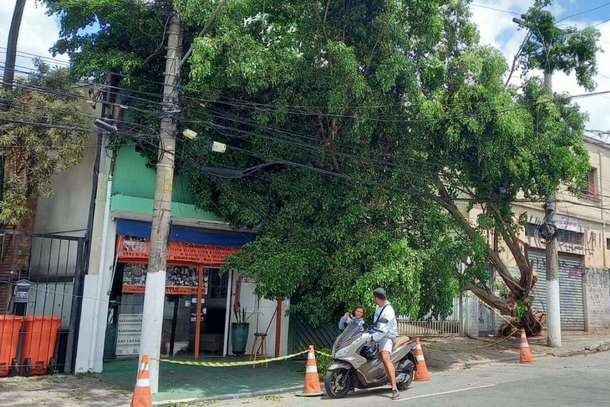 Falta de luz: consumidor pode ser ressarcido por prejuízos. Veja como