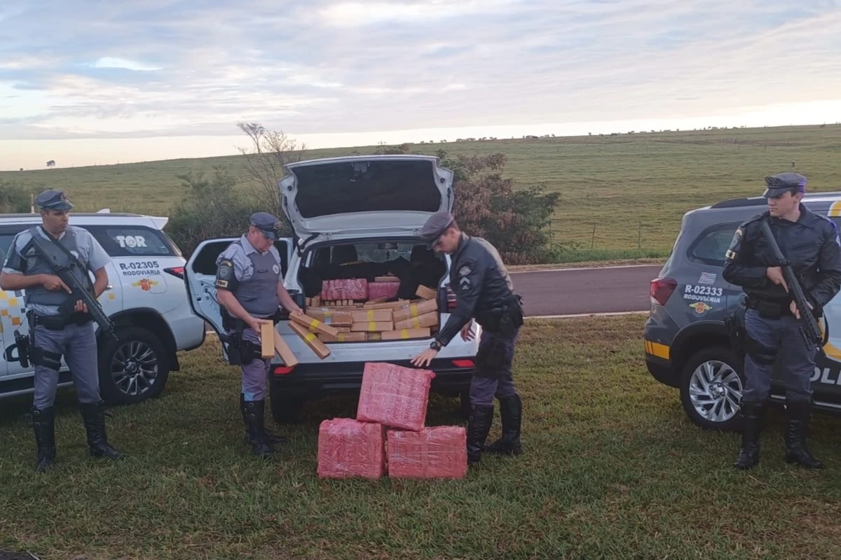 Traficante de 19 anos entope T-Cross com 840 kg de maconha em SP