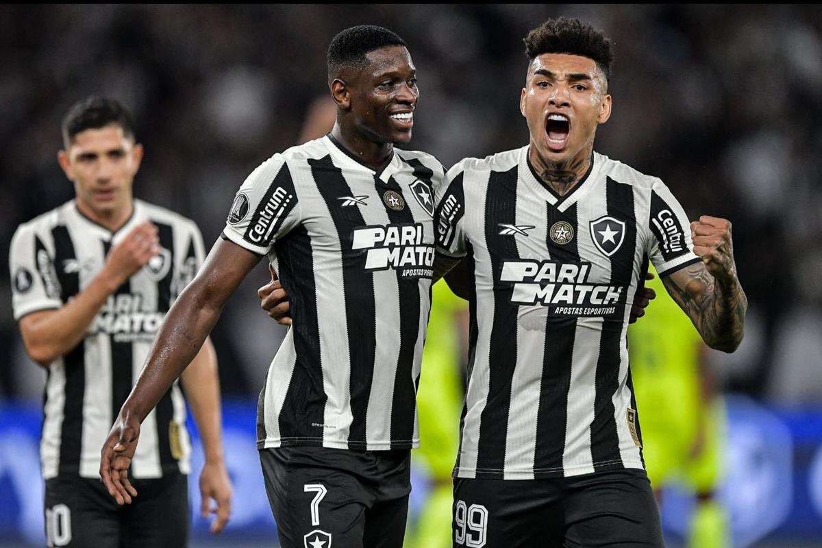 Botafogo volta a campoe após bom desempenho de seus convocados. Veja