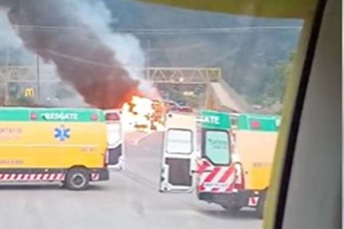 Torcida do Palmeiras que fez emboscada será investigada como facção