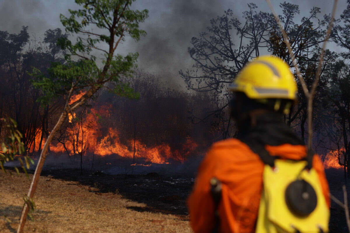 Líder ambientalista na Câmara quer punição a “terrorismo climático”