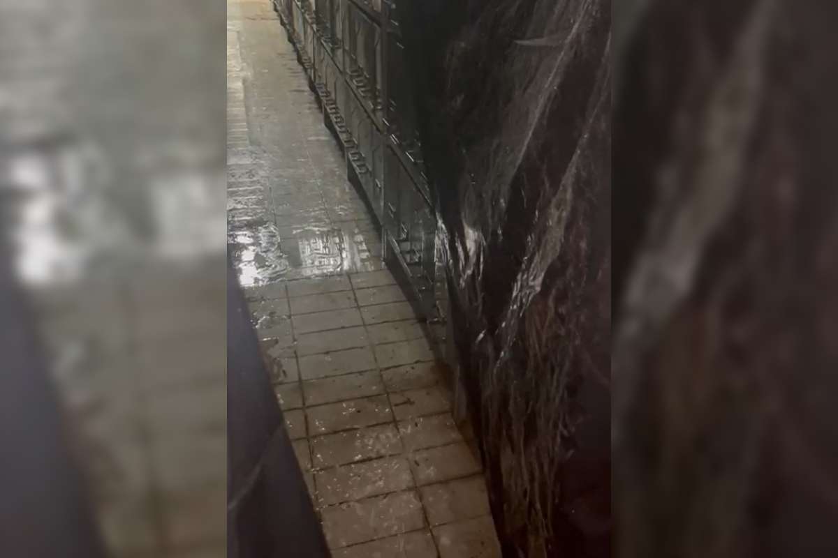 Vídeo: chuva em Brasília causou goteiras no Arquivo Nacional