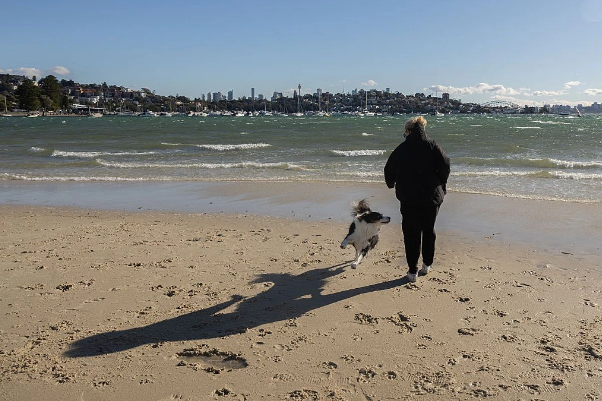 Nova lei pode obrigar donos a passar três horas por dia com seus cães