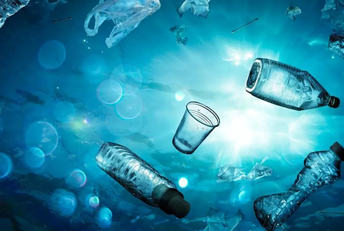 Impacto humano nos oceanos dobrará até 2050, afetando vida marinha