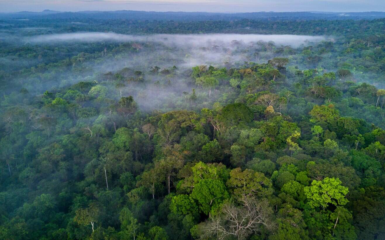 Governo anuncia R$ 500 milhões para ciência e tecnologia na Amazônia