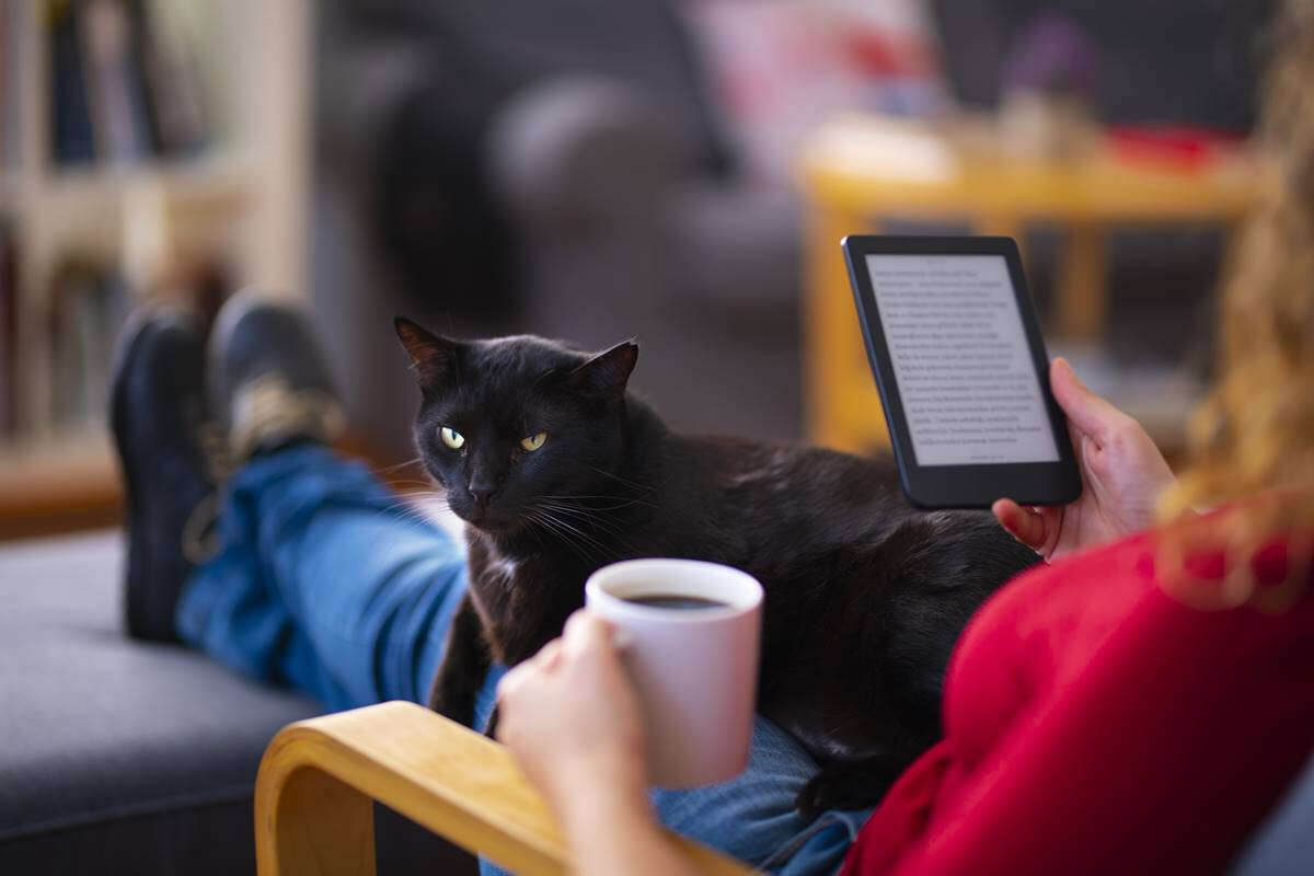 Gatos viram ícone do mercado editorial com estouro da ficção de cura