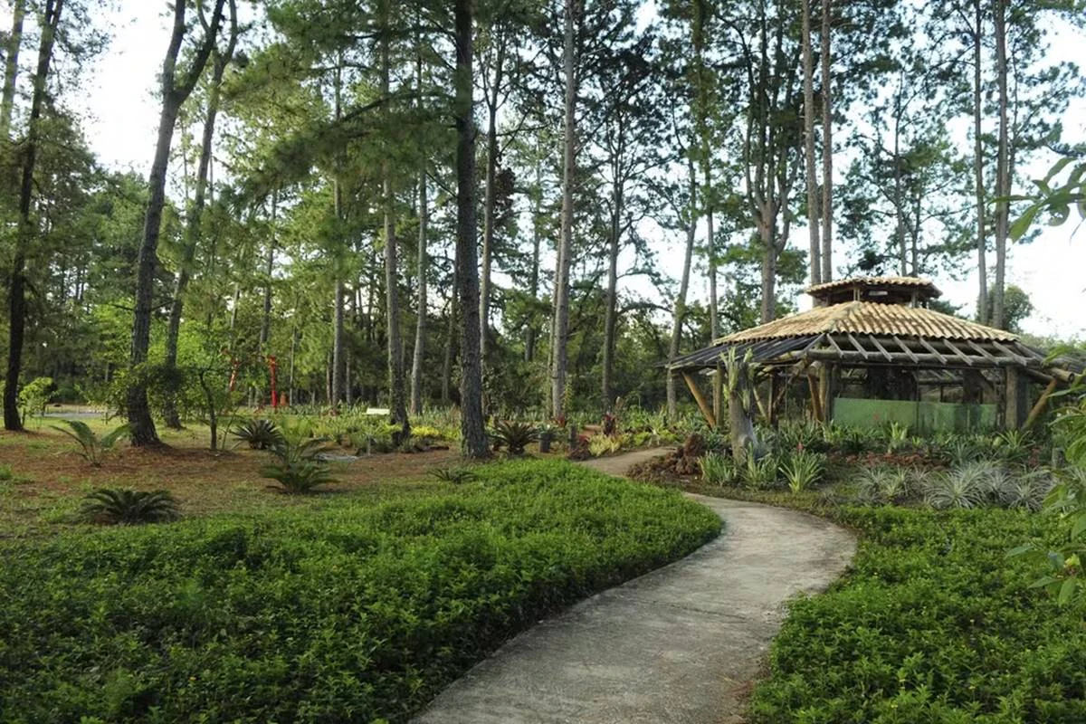 Jardim Botânico de Brasília estará fechado de 9 a 12 de setembro