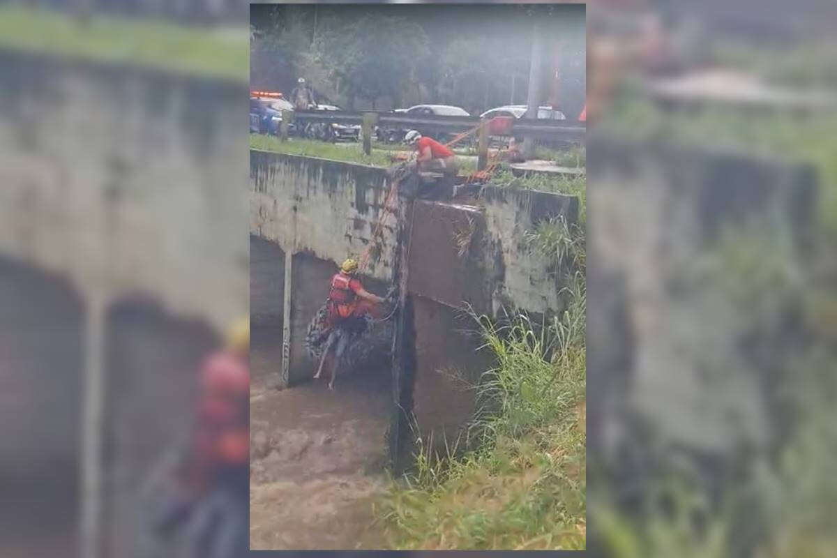 Vídeo: bombeiros resgatam homem em meio à enchente em Goiânia