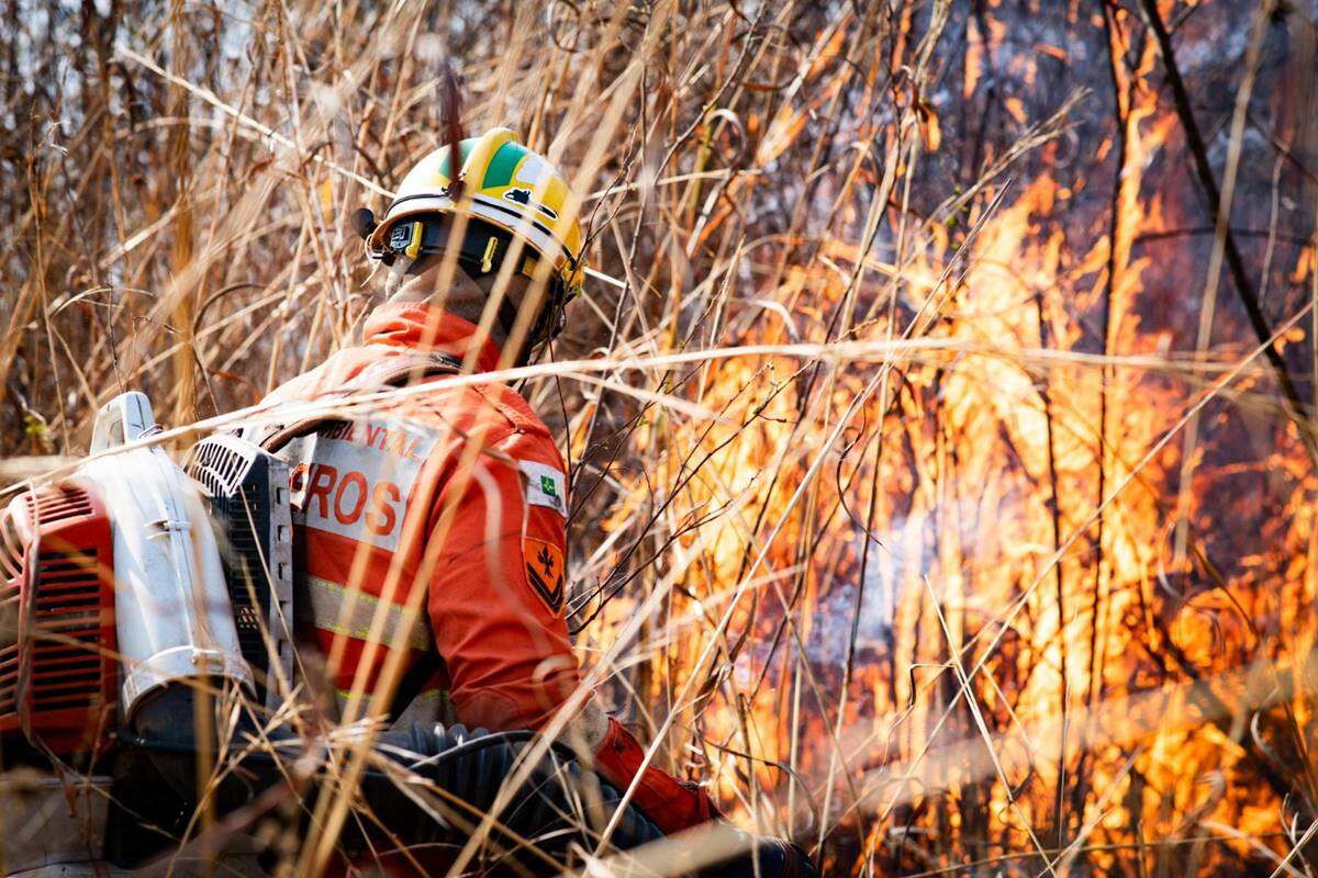 CBMDF escala mais 2 mil praças e oficiais para combater incêndios