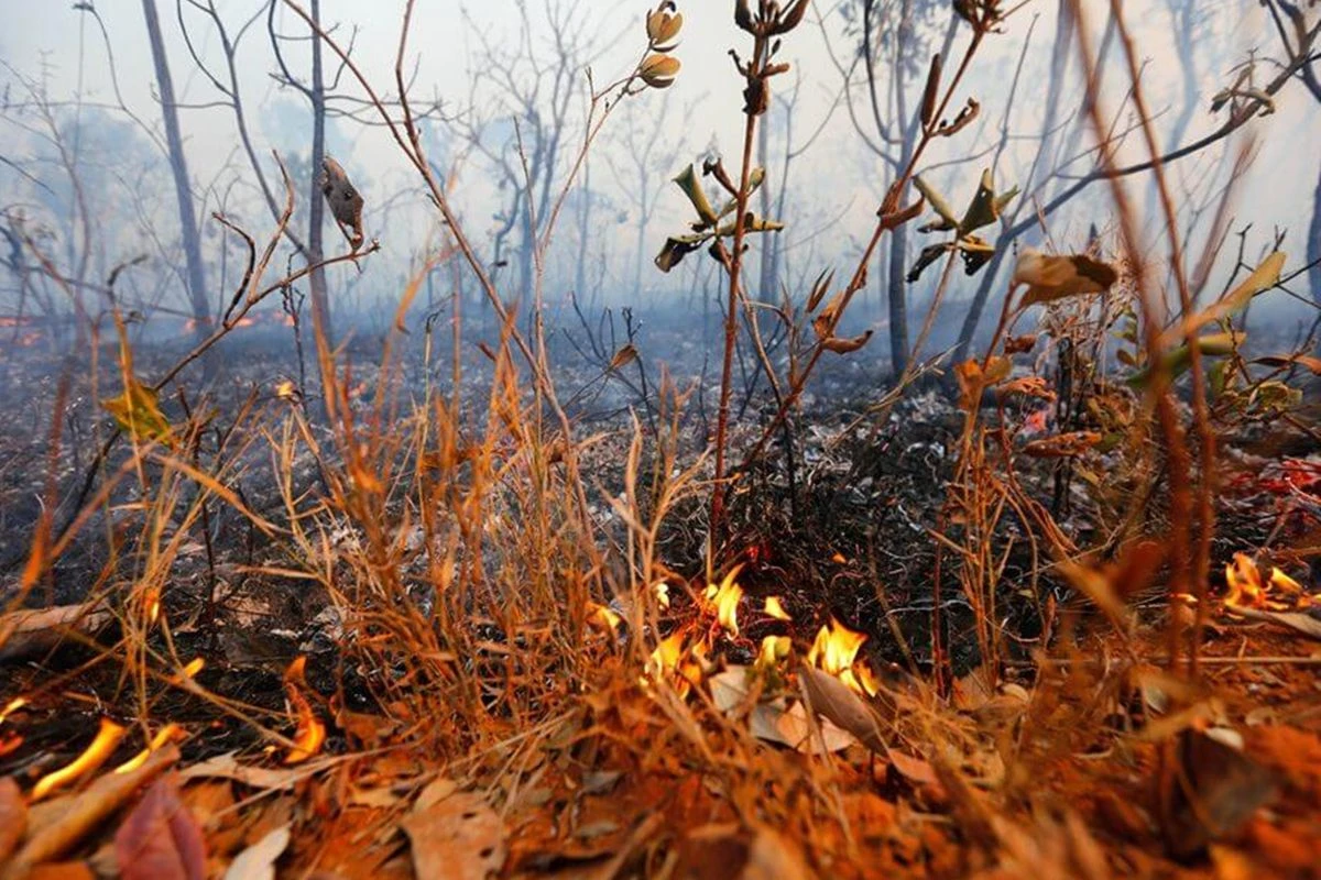 Incêndio atinge 20 mil metros quadrados de vegetação no DF