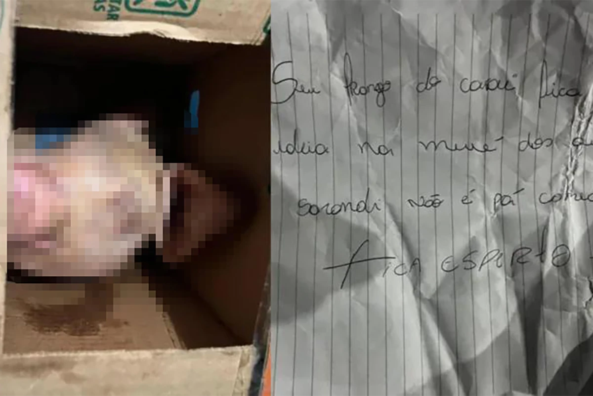 Encomenda macabra: homem recebe cabeça de porco com bilhete ameaçador