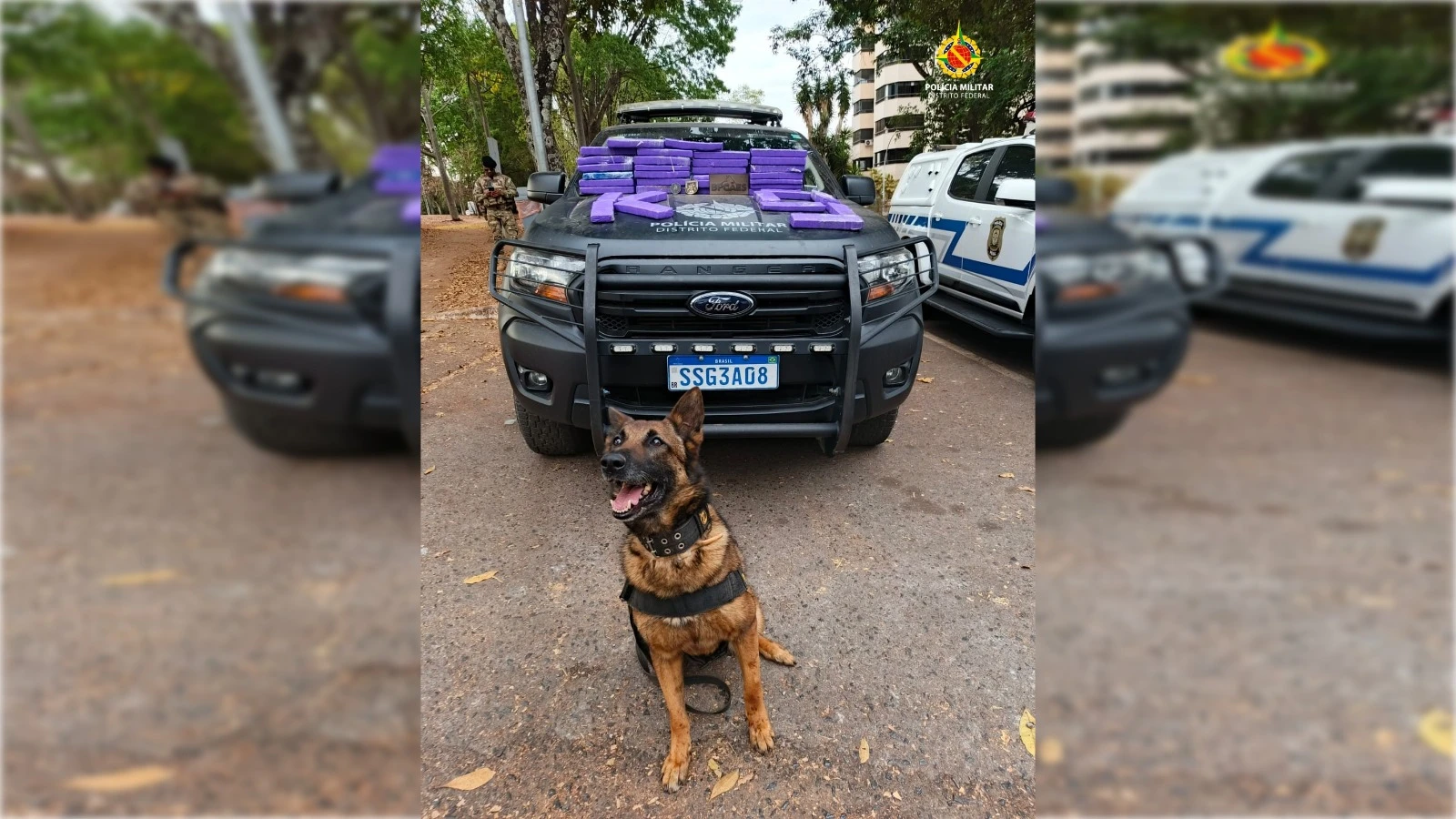 Adolescente com identidade falsa é detida com 37 tabletes de maconha