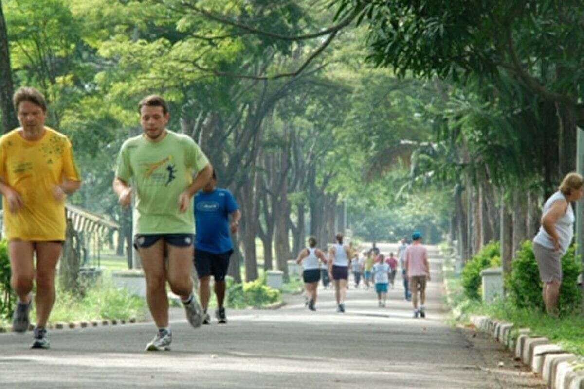 SP: homem de 58 anos é encontrado morto durante caminhada em parque