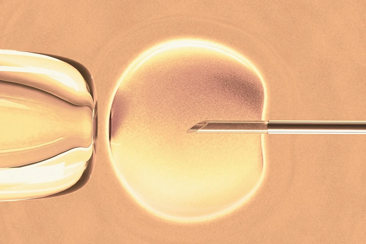 Fertilização: cientistas criam óvulos a partir de células da pele