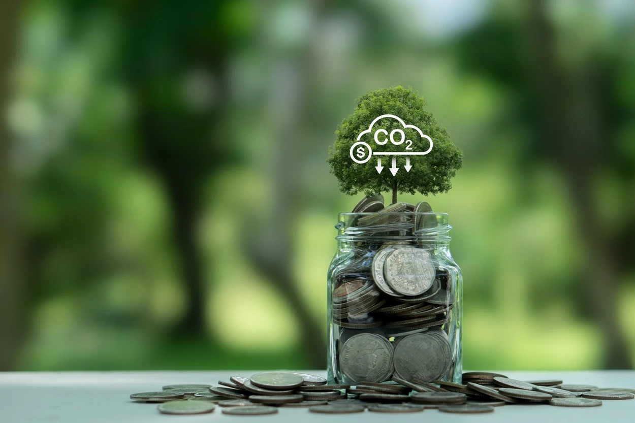 BNDES planeja projeto de restauração lastreado em créditos de carbono
