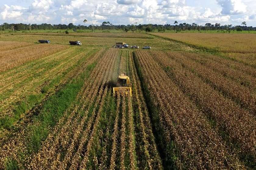 Com alta do preço dos alimentos, veja como clima pode impactar safra