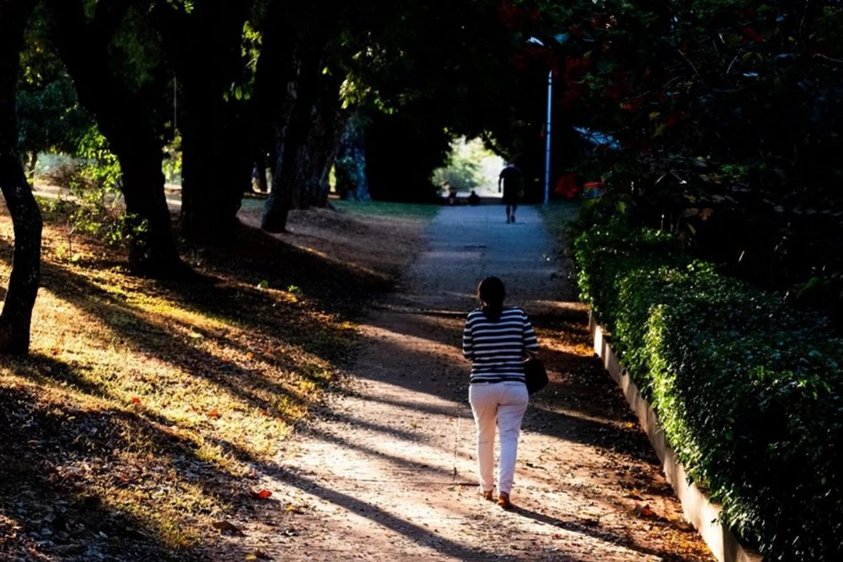 DF tem a manhã mais fria do ano, diz Inmet; confira a temperatura